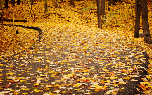 673471 (a): :2560x1600